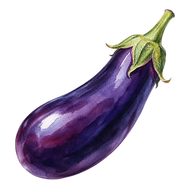 旬のなすのイラスト